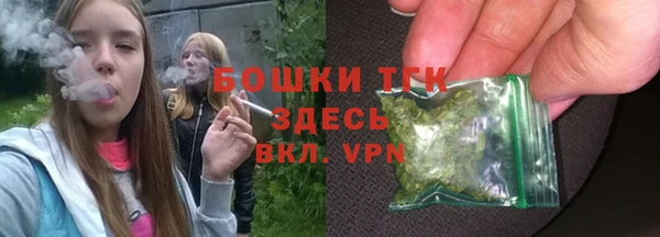 Альфа ПВП Аркадак