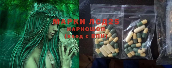Альфа ПВП Аркадак